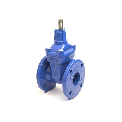 AVK skydeventil DN 65 med flange fra siden, viser ventilens kompakte design og blå finish.