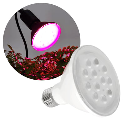 Hvid Kobi PLANTY LED-grolyspære med E27-sokkel og 9 W lyser lilla over grønne planter.