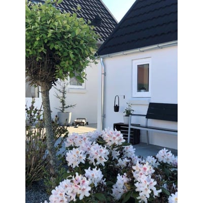 Plastmo 12" x 90° indvendig zink gering monteret på et hvidt hus ved siden af et træ med lyserøde blomster.