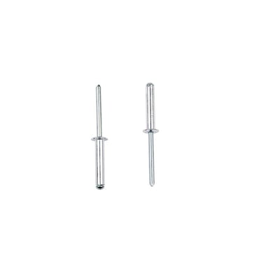 To Masterfix blindnitter 1031, alu/stål, 4,8x20mm, hvor den ene er vist med spidsen i detalje på hvid baggrund.