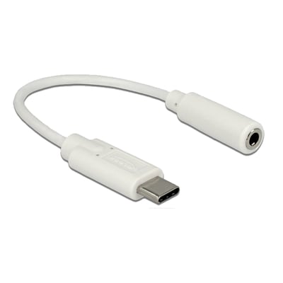 DeLock audio adapter med USB Type-C hanstik og 3,5 mm hunstik i hvid, 14 cm langt.