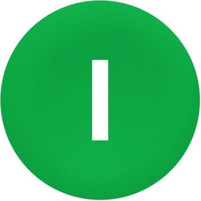 Schneider Electric trykflade med symbolet "I" i hvidt på en grøn cirkulær baggrund, der indikerer en funktion eller status.