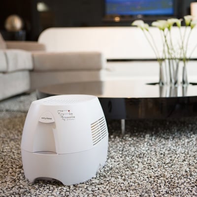 Stylies Orion luftfugter står på et blødt tæppe i en moderne stue med et sofabord og blomster i baggrunden.