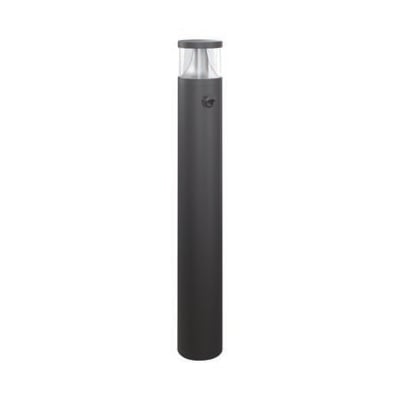 Reelworks Alva pullertlampe på 7 W med mørkegråt, cylindrisk stel, klar lampehætte og synlig sensor.