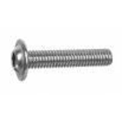 M5X10 ISO 7380 A2 rustfri skrue med fladt knaphoved og Torx-greb, isoleret på hvid baggrund.