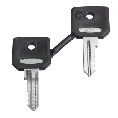 To Schneider Electric harmonisæt nøgler, type C, med sorte greb og metalblade, isoleret på hvid baggrund.