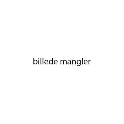Standard placeholderbillede, der angiver at billedet mangler for Nilfisk Filterposer SQ 500-11.
