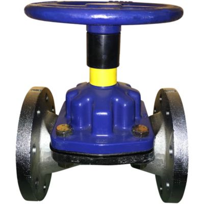 Saunders membranventil DN65 med blålakeret overdel og blåt håndtag, galvaniseret ventilhus og 2 1/2" flange-flange forbindelse.