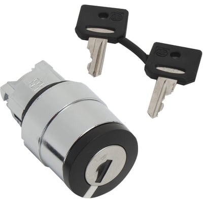 Schneider Electric ZB4BG210 nøglegreb med to identiske Ronis 458A nøgler, sat på grå baggrund.