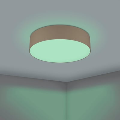 EGLO Romao-Z loftslampe Ø570mm i taupe med cirkulær, mat overflade, der afgiver et blødt, grønligt lys.