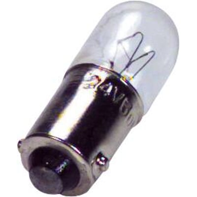 Kerger glødelampe med BA9s sokkel, 24V og 80mA, viser den kompakte dværglampes glaskolbe og metalkappe.