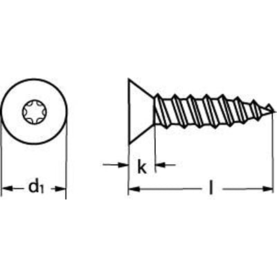 Teknisk tegning af pladeskrue 5,5x25 mm i rustfri A2 med undersænket hoved og torx-kærv, viser dimensioner d1, k og l.