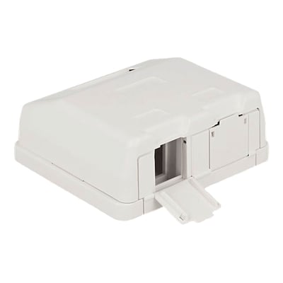 DeLock Keystone overflademonteret boks i hvid plast med plads til to Keystone moduler og åben klap.