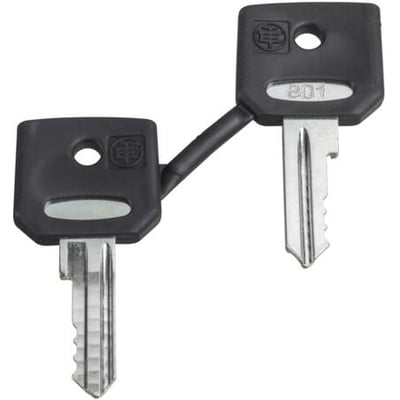 To sorte Schneider Electric 8D1 nøgler forbundet med et sort bånd, hver med et sølvfarvet nøgleblad.