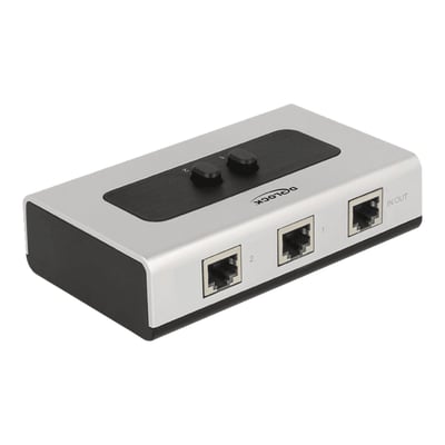DeLock manuel RJ45 switch med to porte til 10/100/1000 Mbps netværk, vist på hvid baggrund.