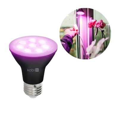Kobi PLANTY LED-grolyspære med E27-sokkel, sort pære og lilla lys, vist med en orkidé under vækstlys.
