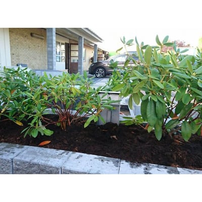 Jesmig EL-stikholder til 2 stik monteret udendørs i en have ved siden af planter og en bil.