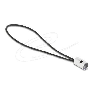 DeLock USB-C til Lightning-adapter med sort flettet løkke og sølvfarvet stikdel vist fra siden.