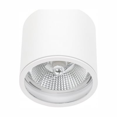 Hvid SpectrumLED Chloe udendørs loftlampe til AR111 GU10 med rund, dyb skærm og synlig reflektor, set skråt forfra.