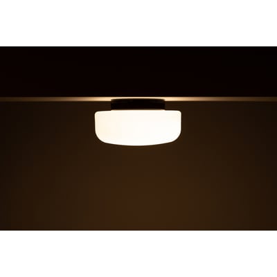 Ifö Electric Solenne loft- og væglampe med sort fatning og diffusor af mat opalglas, 320mm i diameter, monteret på et mørkt loft.