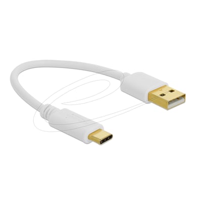 DeLock USB-ladekabel med kort, hvidt kabel og USB Type-A-stik i den ene ende samt USB Type-C-stik i den anden, 15 cm.