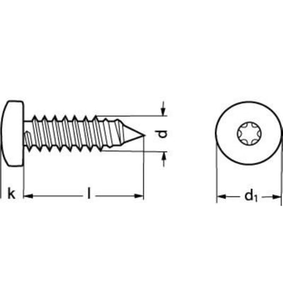Teknisk tegning af A2 pladeskrue 4,2x45 mm med panhoved og torx-fæste, der viser mål som l, k, p og d1.