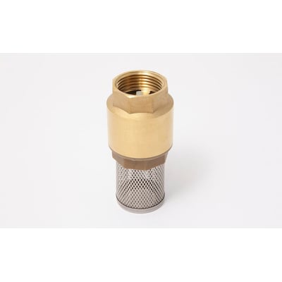 Sugefilter i messing med kontraventil og 1" indvendigt gevind. Filteret har et rustfrit trådnet og står på en hvid baggrund.