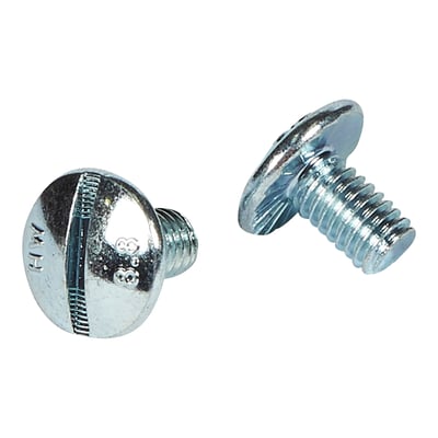 Legrand M6 x 10mm elgalvaniserede skruer vist fra to forskellige vinkler på hvid baggrund.