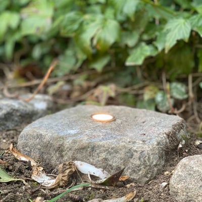 En enkelt mini chaussesten med rustfrit stålring lyser varmt i jorden ved siden af en sten og grønt løv.