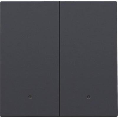 Niko tangent til smart 2-tryk afbryder i antracit med integreret linse, viser det minimalistiske design.