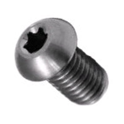 M6X25 ISO 7380 A2 knaphovedskrue med Torx-stik, vist i rustfrit stål på grå baggrund.