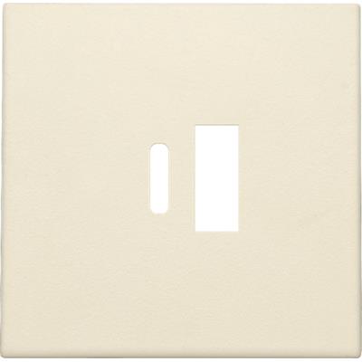 Niko afdækning i cream til USB-A og USB-C opladere, viser udskæringer til en USB-A og en USB-C port på hvid baggrund.