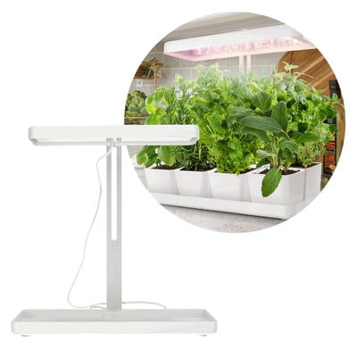 Hvidt Kobi BLOOM grolys til krydderurter med justerbar højde og 20 W, vist ved siden af frodige planter.
