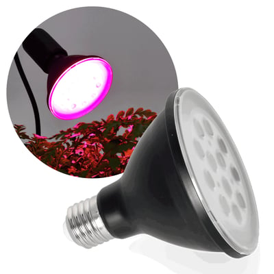 Sort Kobi PLANTY LED-grolyspære på 9 W med E27-sokkel, vist sammen med lilla lys over planter.