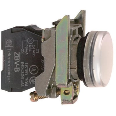 Schneider Electric ZBV-B signallampe med hvid knap og metalkonstruktion, viser mærkning og tilslutningsdetaljer på bagsiden.