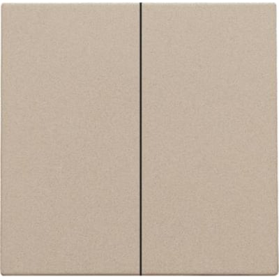 Niko smart 2-tryk tangent i champagne coating med en lodret sort stribe i midten, der adskiller de to trykflader.