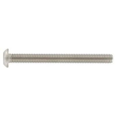 M4x6 ISO 7380 A2 rustfri skrue med pin Torx-hoved, vist isoleret på hvid baggrund.