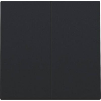 Sort Niko tangent til smart 2-tryk, med et minimalistisk design og to tydelige trykflader. Perfekt til Niko Home Control systemet.