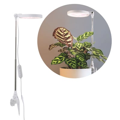 Kobi VERDI hvidt plantelys på spyd med lampehoved og ledning, vist ved en grøn potteplante.