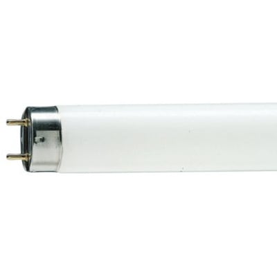 Philips MASTER TL-D Super 80 lysstofrør på 36 W med G13-sokkel, vist vandret med stifterne synlige.