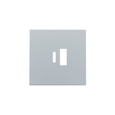 Niko afdækningsplade i sterling sølv med udskæringer til USB-A og USB-C opladerindsats på hvid baggrund.