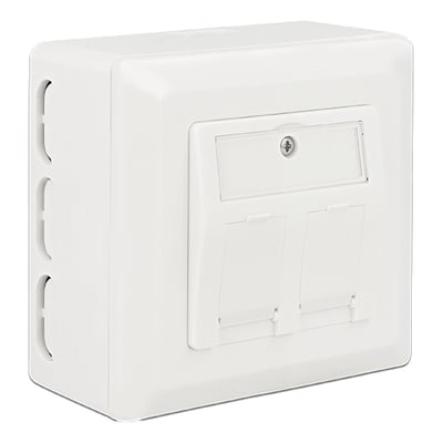 DeLock back box til overflademontering af Keystone vægudtag med 60 mm monteringshuller, hvid plast.