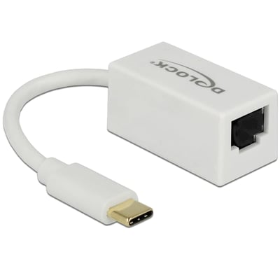 DeLock-adapter med USB-C-hanstik og Gigabit LAN-port, vist fra siden med et kort, hvidt kabel.