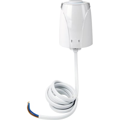 Schneider Electric termoelektrisk motorventil på 24V med hvidt hus og gennemsigtig top, klar til tilslutning med kabel.