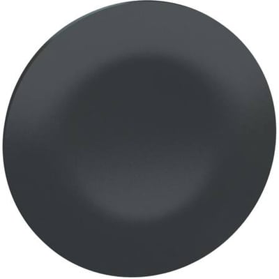 Schneider Electric ZBA72 cap uden markering, et rundt, mørkegråt trykknap-tilbehør med en mat finish.