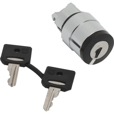 Schneider Electric ZB4BG410 nøglegreb med to nøgler, separat og klar til montering på hvid baggrund.