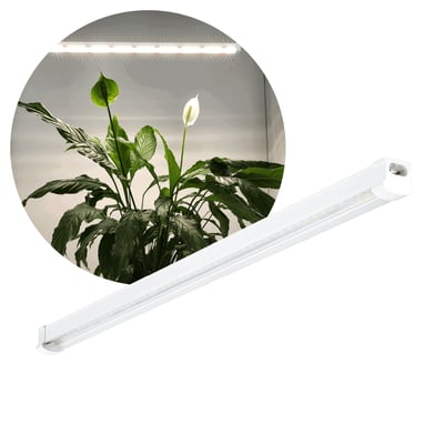 Hvidt Kobi GROWLY LED-vækstlysarmatur på 60 cm og 15 W, vist ved planter under det tændte lys.