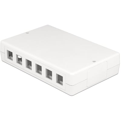Hvid DeLOCK Keystone-boks i plast med 12 porte, vist lukket fra skråt ovenfra med portåbninger langs siden.