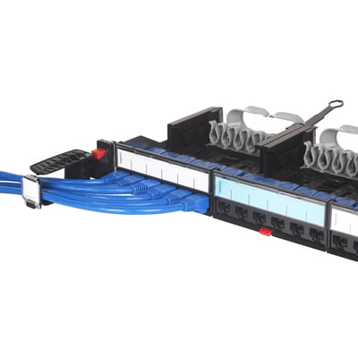 Legrand LCS kabelbøjle i sort plast med flere blå netværkskabler forbundet til patchpanel, 1HE.