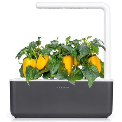 Click & Grow smart have med fire planter af gul sød peber, der er fuldt udvoksede og klar til høst.